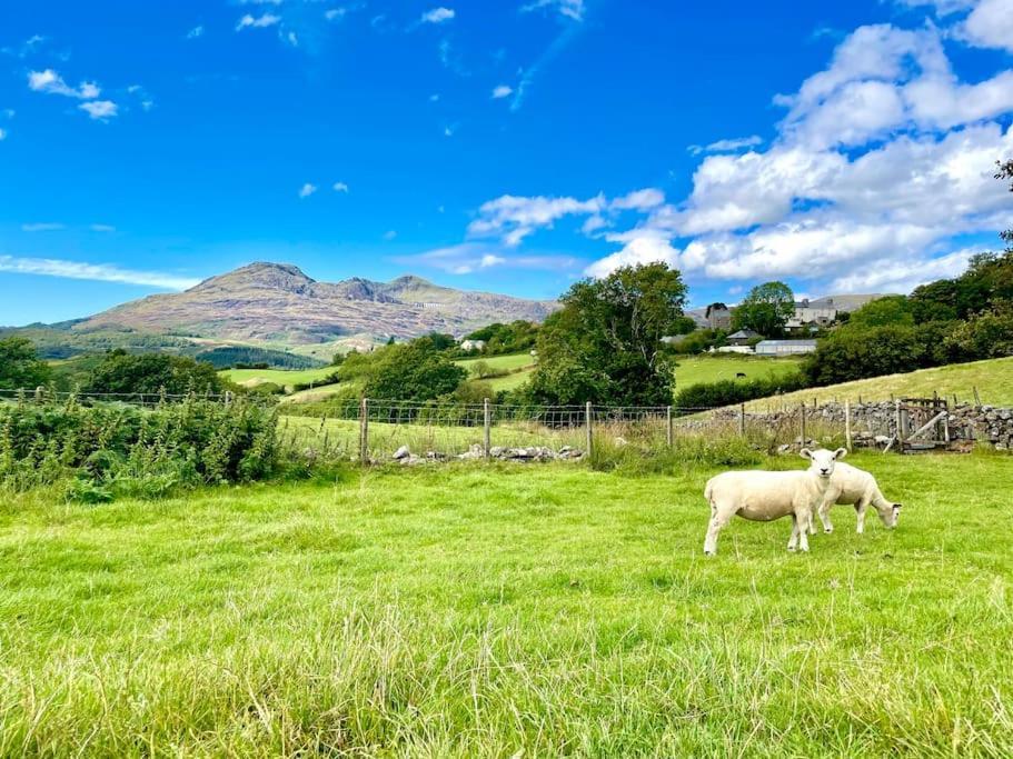 The Walkers' Cwtch Ffestiniog Exterior foto